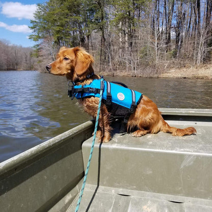 Ripstop Dog Life Jacket for Small Medium Large Dogs Boating, Swimming Vest for Dogs with Enhanced Visibility & Buoyancy, Blue
