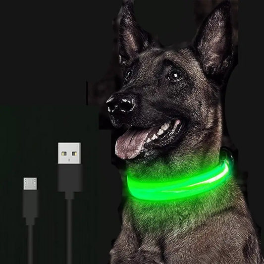 طوق الكلب LED
